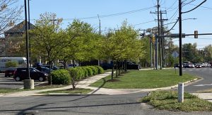 Richmond Highway Beautification